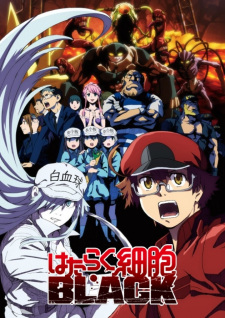 Hataraku Saibou Black (TV)