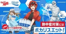 Hataraku Saibou: Necchuushou – Moshimo Pocari Sweat ga Attara