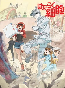 Hataraku Saibou (TV)