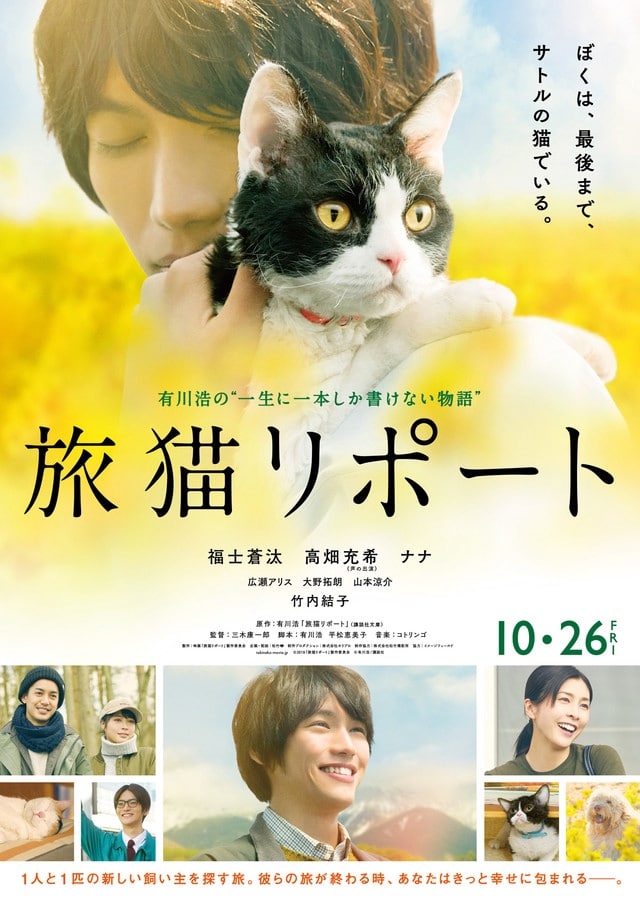 tabineko ripoto live action